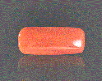 Natural Coral  8.35RTS-27380